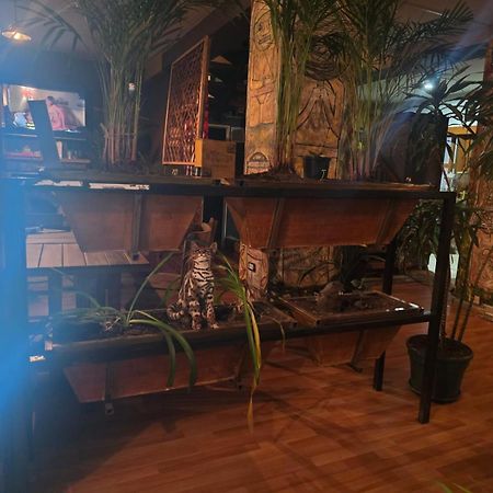 Portelli Hostal Zona G- Para Extranjeros بوغوتا المظهر الخارجي الصورة