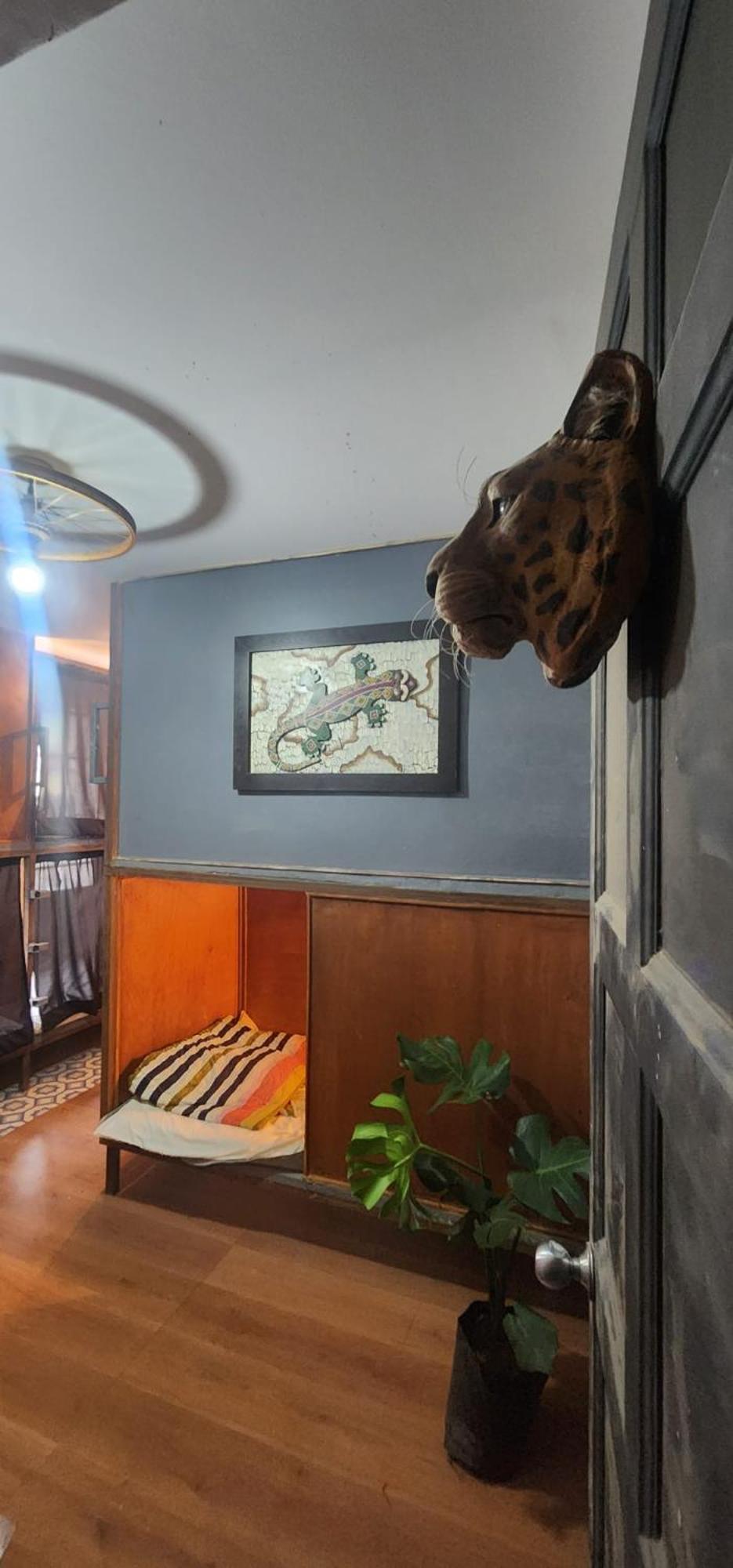 Portelli Hostal Zona G- Para Extranjeros بوغوتا المظهر الخارجي الصورة